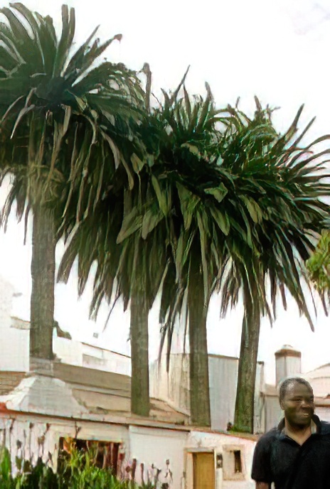 Portugal – Odeceixe – the Cafe/Shop